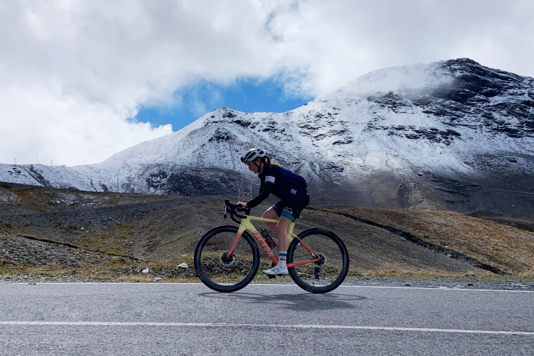 Progetto Stelvio